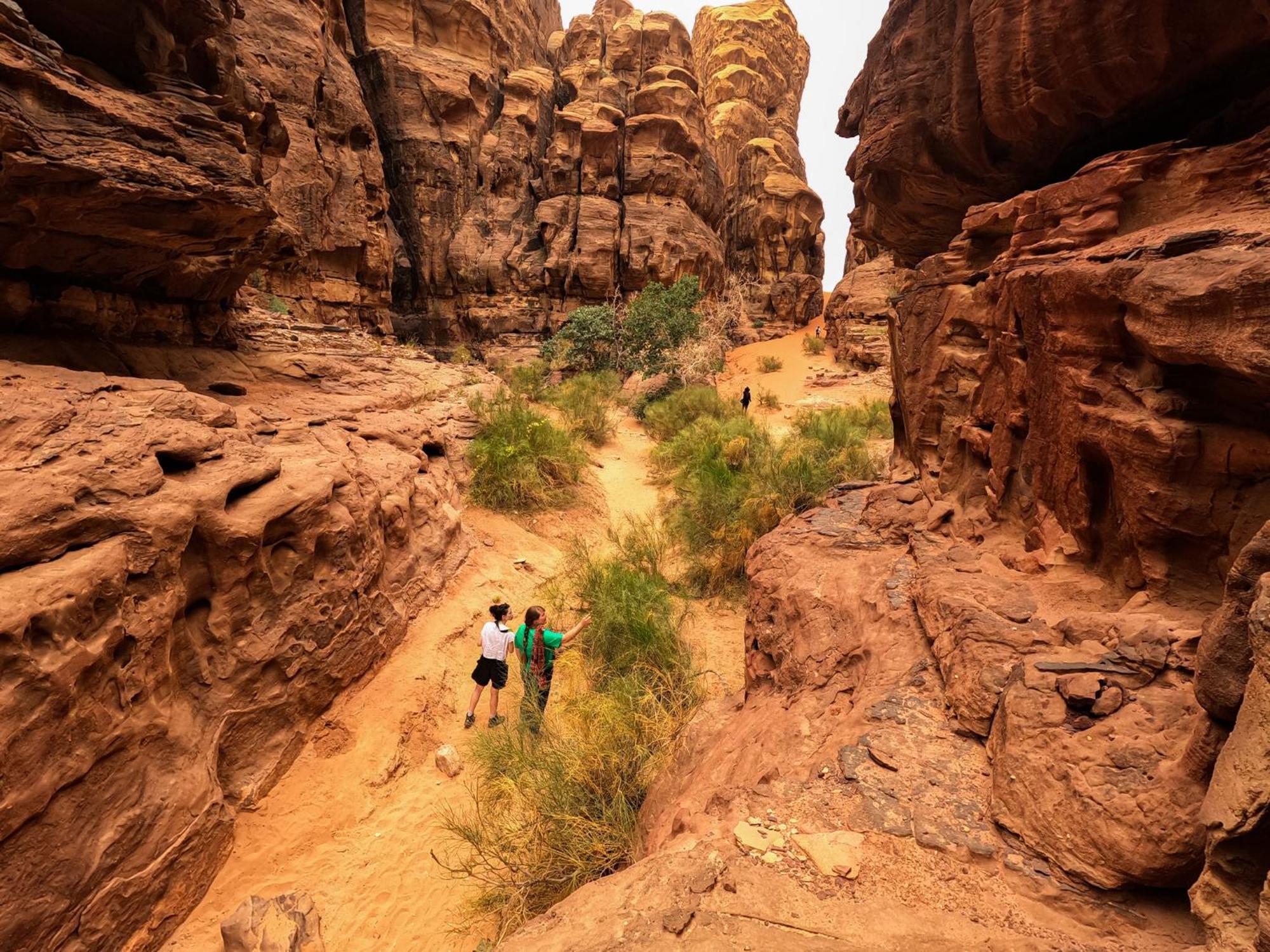 Stargazing Camp & Tours Hotel Wadi Rum Exterior foto