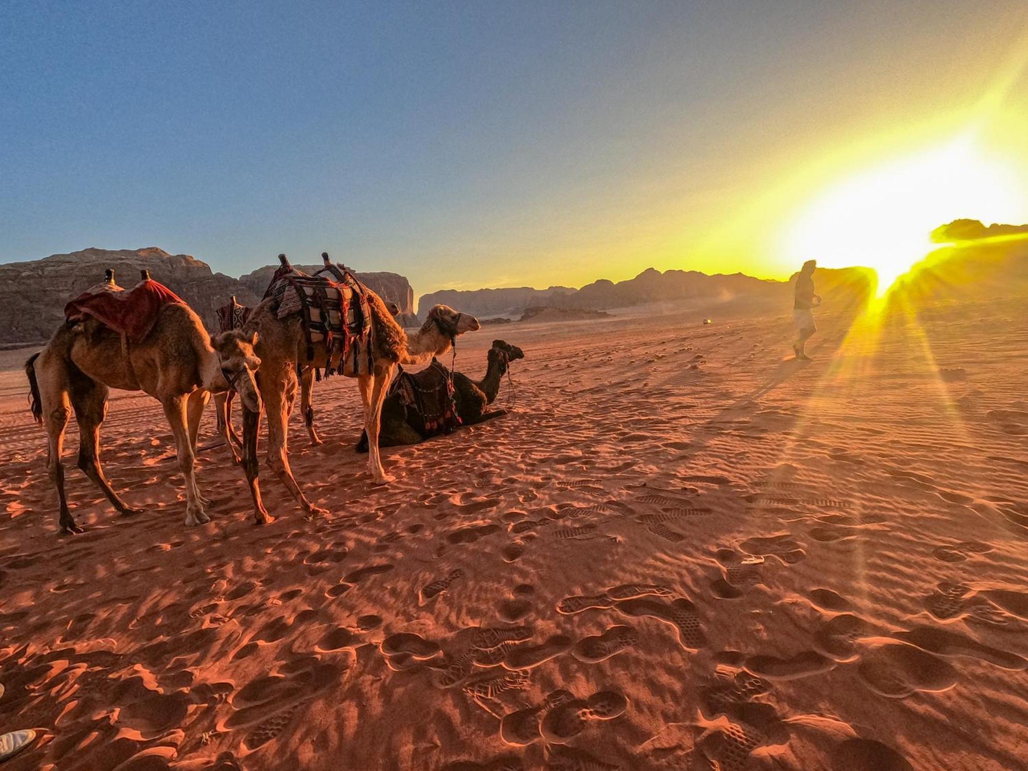 Stargazing Camp & Tours Hotel Wadi Rum Exterior foto