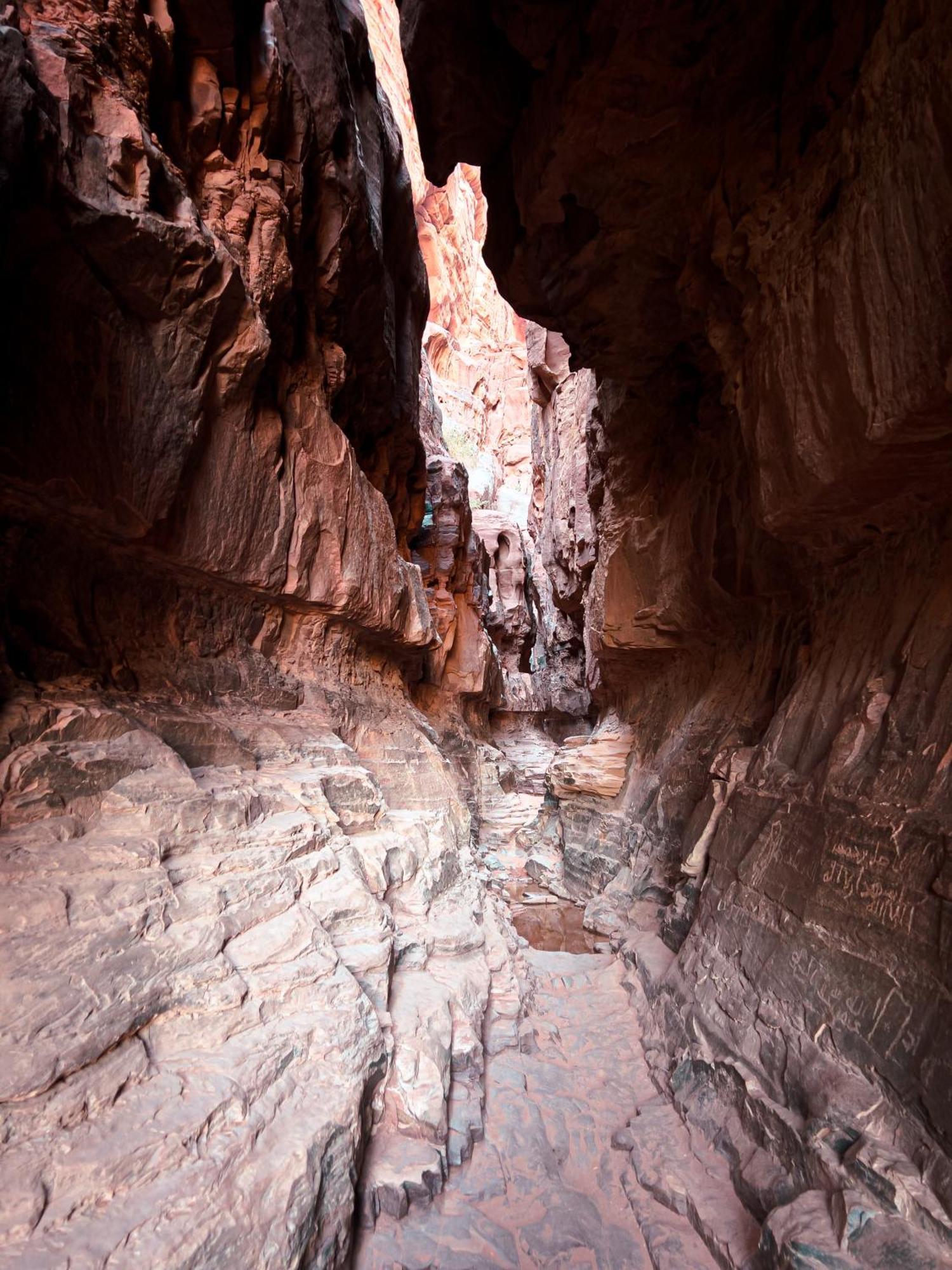 Stargazing Camp & Tours Hotel Wadi Rum Exterior foto