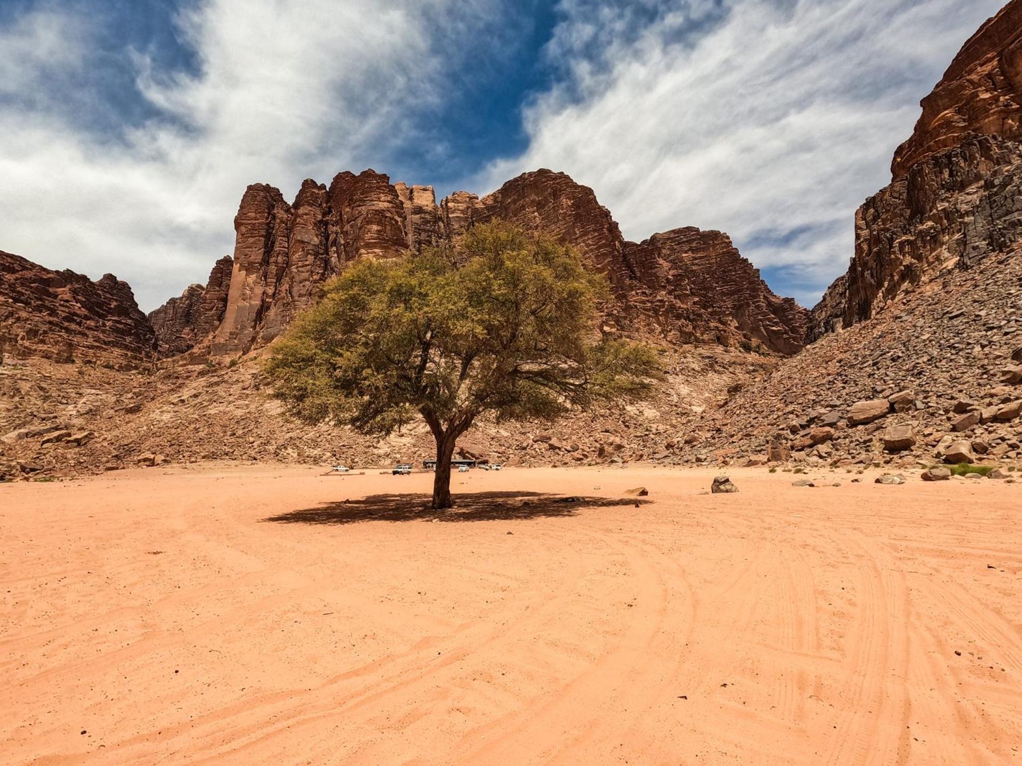 Stargazing Camp & Tours Hotel Wadi Rum Exterior foto