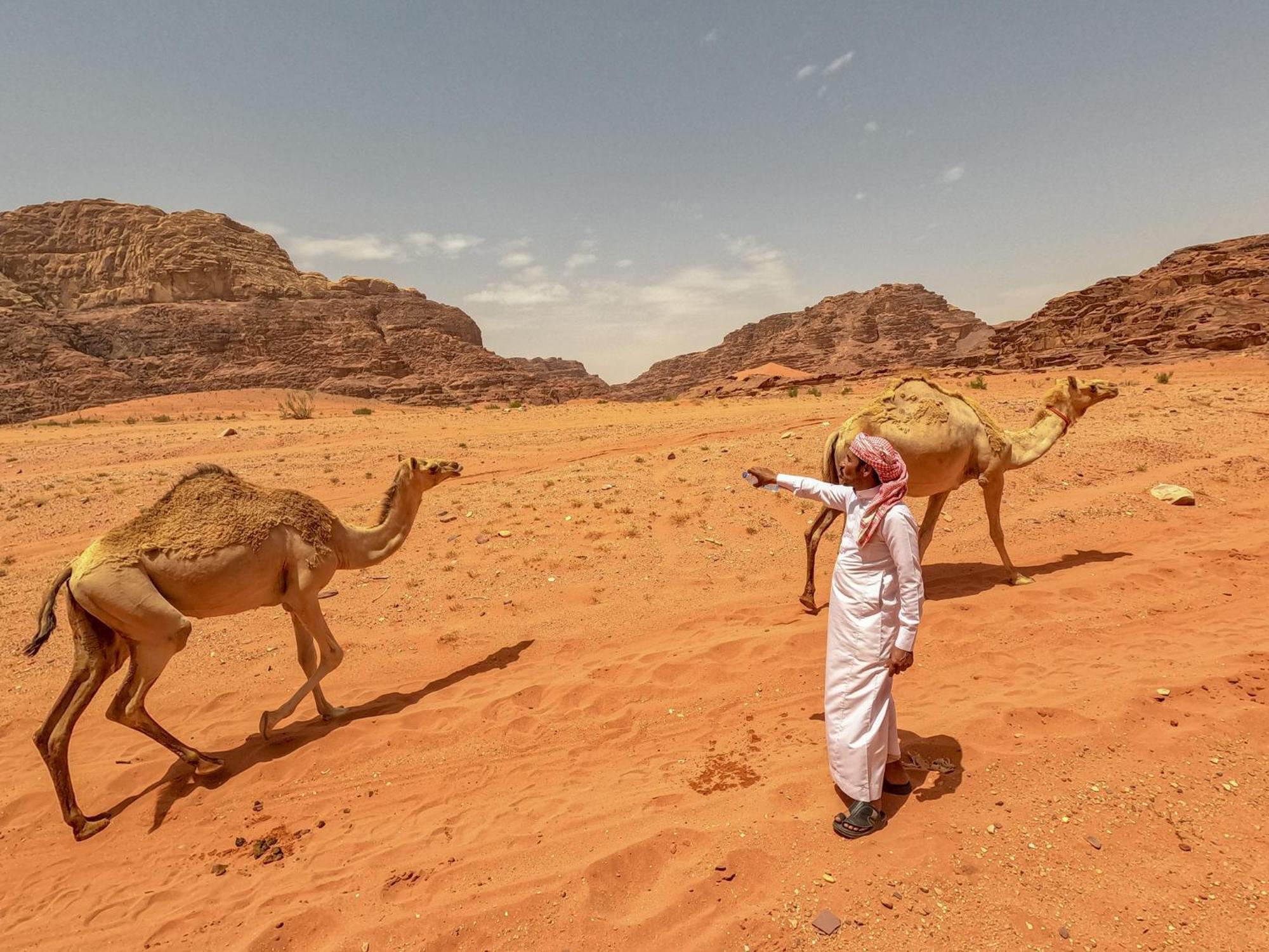 Stargazing Camp & Tours Hotel Wadi Rum Exterior foto