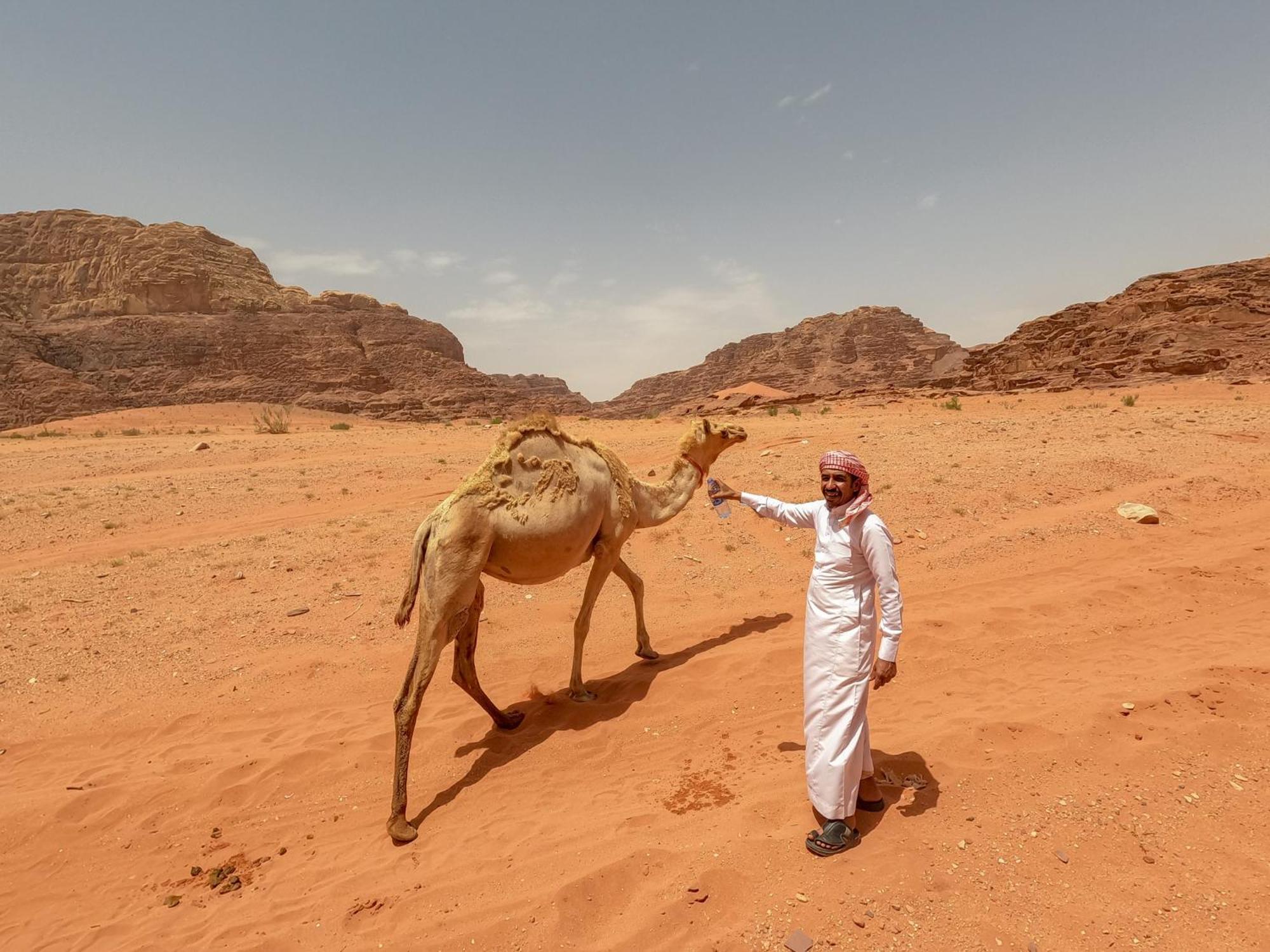 Stargazing Camp & Tours Hotel Wadi Rum Exterior foto